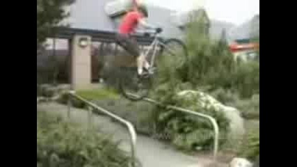Trial 