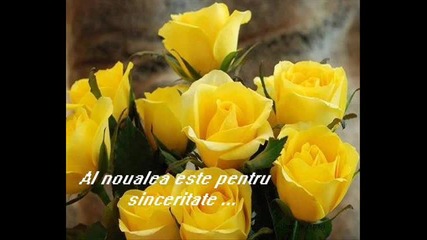 10 trandafiri pentru tine 