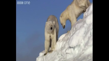Hd Arctic Melt Time Lapse - Natures Great Events The Great Melt - Bbc One