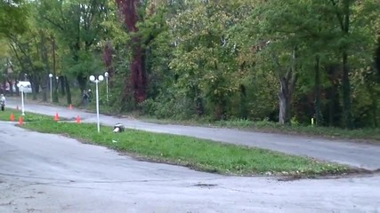 Рали в Добрич 2011