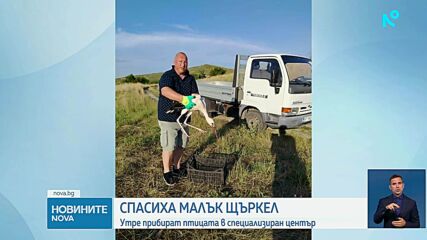 Кмет спаси малко щъркелче край великотърновското село Обединение