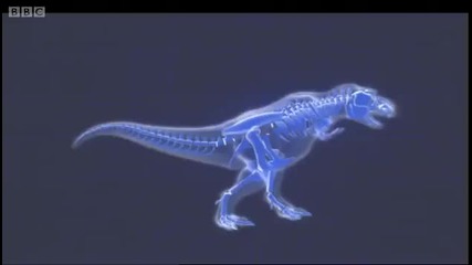 T - Rex Tiny Arms - Horizon T Rex Warrior or Wimp - Bbc 