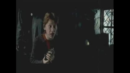 Ron and Hermione - Love story