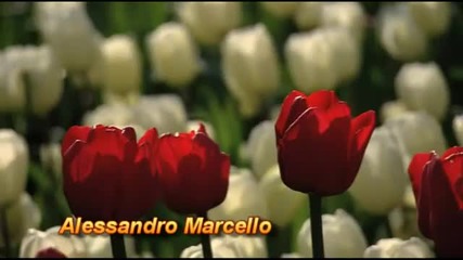 Музыка для души.alessandro Marcello. Адажио