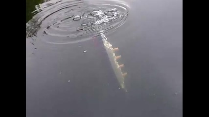 Модел Титаник потъва в 15 секунди 