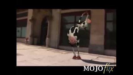 Crazy cow 
