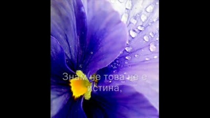 Nazareth - Love Hurts - превод