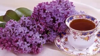 Пролет е