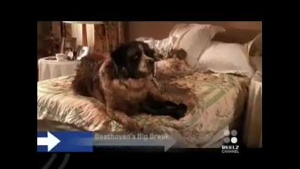 Jennifer Aniston and Owen Wilson Joke About Marley and Me 