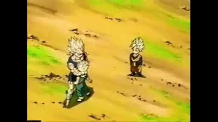 Dbz Vegetas Life
