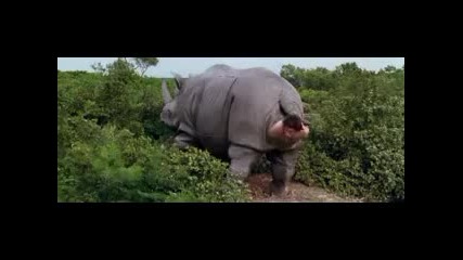 Ace Ventura 2 Budala Dedektif 2 Aksiyon Komedi Filmi Turkce Dublaj Film Yonetmen 2015 Hd