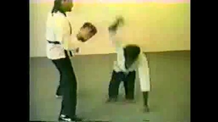 karate_monkey