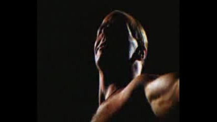 Hbk