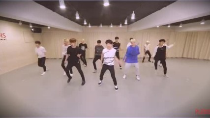 Seventeen - Crazy in Love . Choreography Video