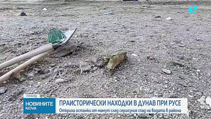 Започна изваждането на останките от мамут, открити в река Дунав