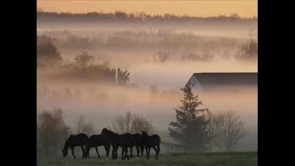 Lisa Gerrard - една перфектна утрин 