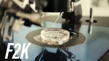 Artificial Ovaries: The Battle Against Infertility