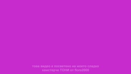Обич За Хамстерите