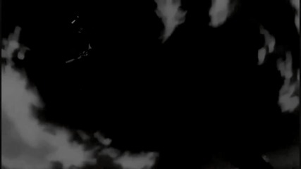 Lavi - Black Habbit Remains...
