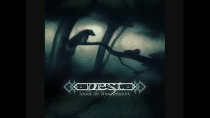 Nest - Across The Waters 