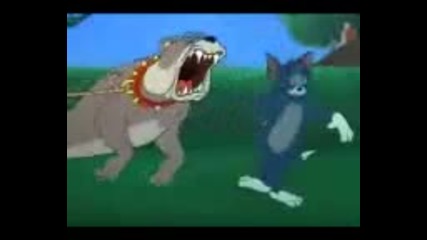 Tom and Jerry (bg parodia) 