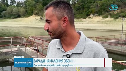 Десетки мъртви риби изплуваха от развъдник в язовир „Копринка”