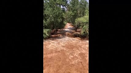 Поройни дъждове унищожиха ниви и селскостопанска техника в Испания (ВИДЕО)
