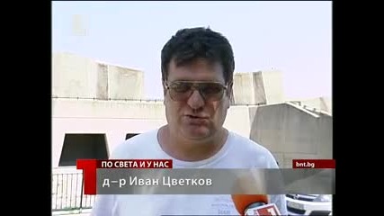 Специални грижи за животните в жегите