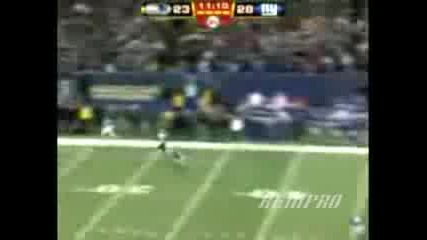Randy Moss (im Hot)