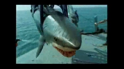Човек излиза от устата на акула
