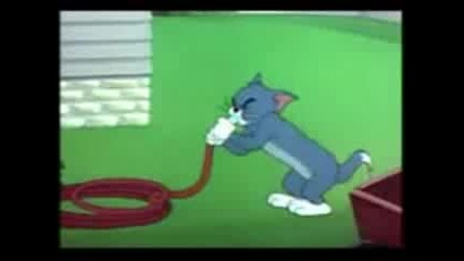 Tom & Jerry bg parody