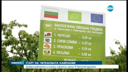 Ще ядем ли по-евтини череши тази година?