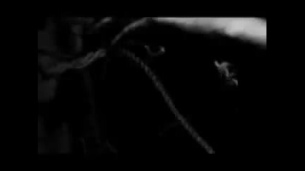 Napalm Death - When All Is Said And Done 
