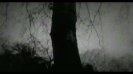 Peter Murphy - All Night Long (official Music Video 1080p)