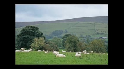 Mozart - Clarinet Concerto In A - ІІІ Rondo