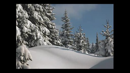 Desi~celebrate.wmv