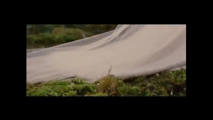 Safe and Sound ~ Edward and Bella