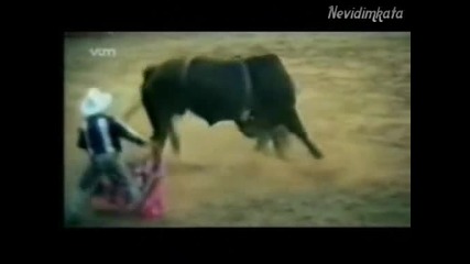 Смях - Лудите Животни!