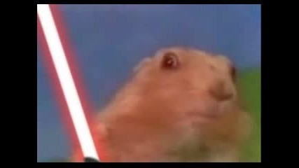 Darth Chipmunk