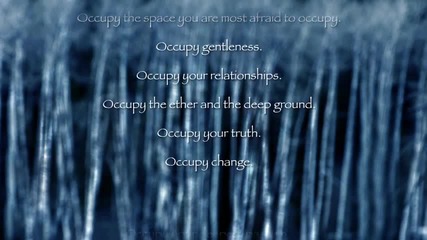 Occupy by Peggy Fitzsimmons