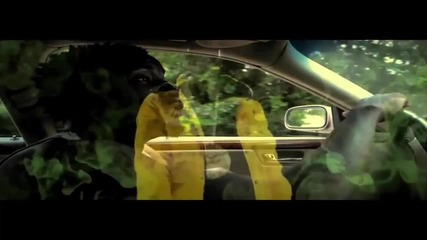 Gos Mob ( Lg & Prez ) - Money Man