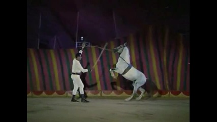 Mera Naam Joker - Aye Bhai Zara Dekhke Chalo_нов