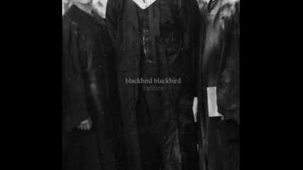 Blackbird Blackbird - Until Dawn Takes Flight 