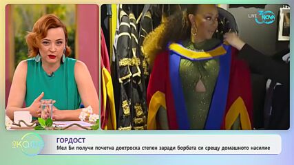 Мел би получи почетна докторска степен заради борбата си срещу домашното насилие