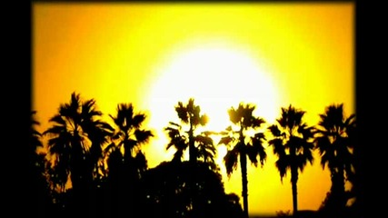 Protoculture & Pogo - California Sunshine 
