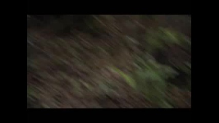 Bear Grylls убива боа