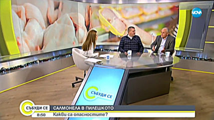 САЛМОНЕЛА В ПИЛЕШКОТО: Какви са опасностите?