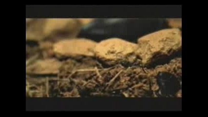 Rammstein - Links 234