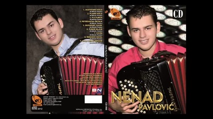 Nenad Pavlovic - Zubor mlave (BN Music)
