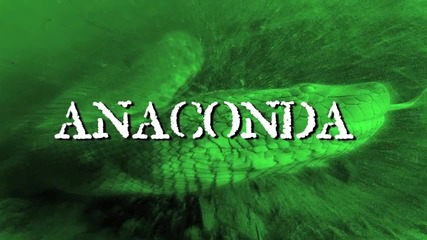 невероятните снимки на анаконди, регистрирани някога!
